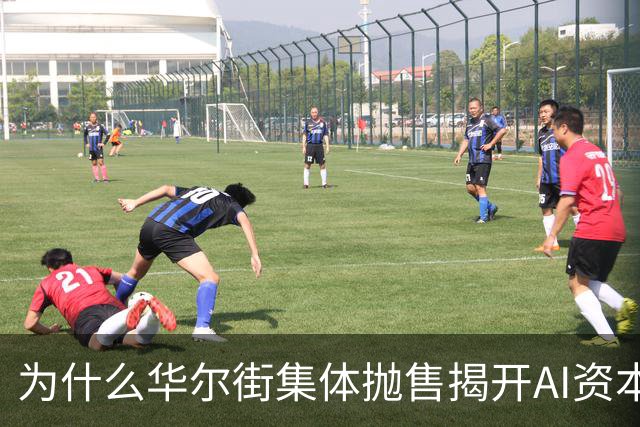 为什么华尔街集体抛售揭开AI资本游戏本质？