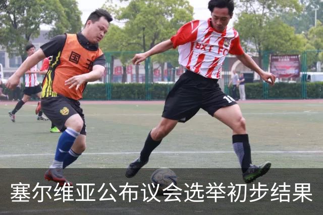 塞尔维亚公布议会选举初步结果