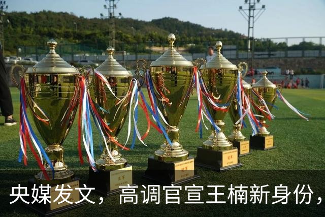 央媒发文，高调官宣王楠新身份，资产查封被带走调查传闻早有真相