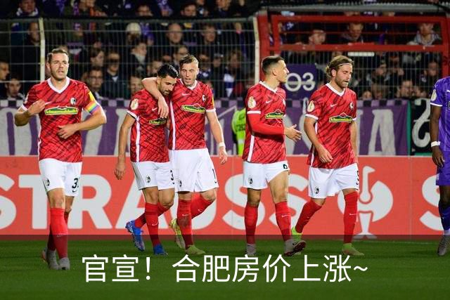 官宣！合肥房价上涨~