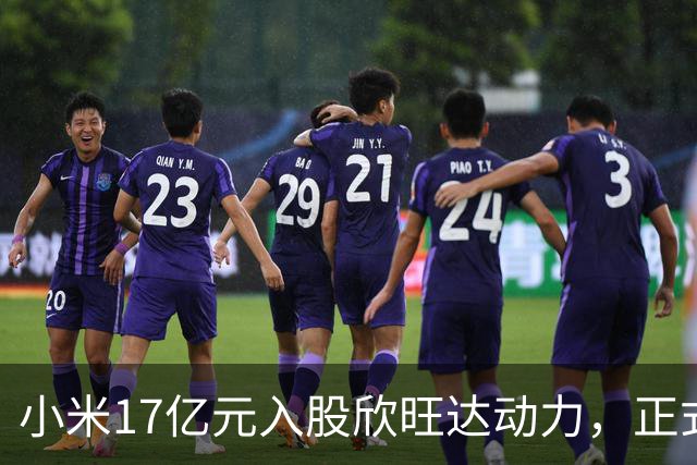 小米17亿元入股欣旺达动力，正式成为第三大股东