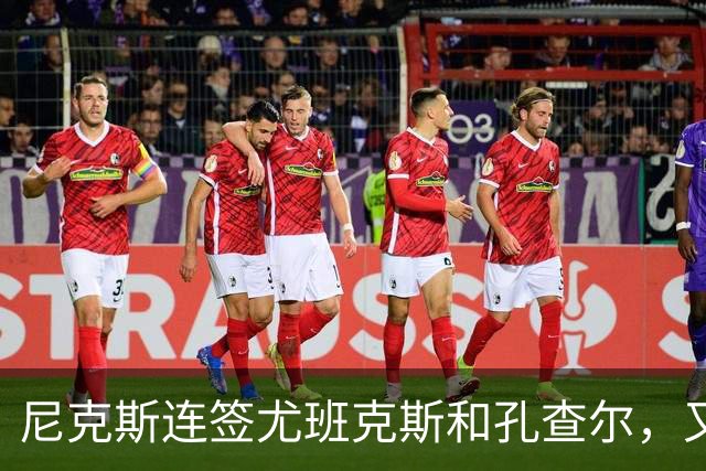 尼克斯连签尤班克斯和孔查尔，又以Exhibit 9合同签下布鲁斯·布朗