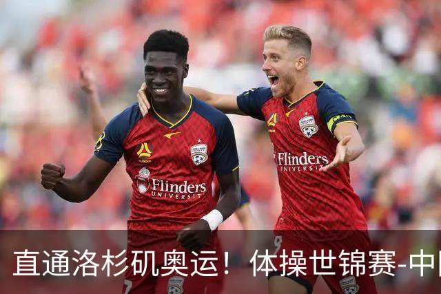 直通洛杉矶奥运！体操世锦赛-中国男团摘铜 日本夺金