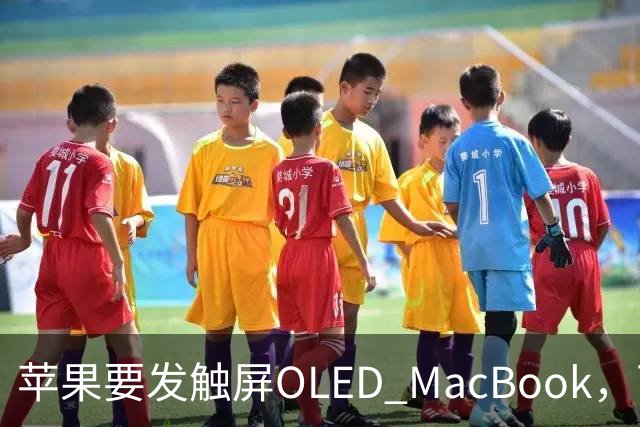 苹果要发触屏OLED MacBook，可它到底给谁用？
