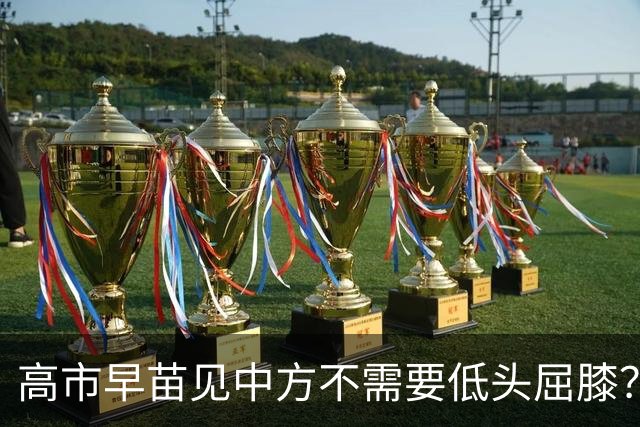 高市早苗见中方不需要低头屈膝？日本抛出特殊说辞，暗藏多重算计