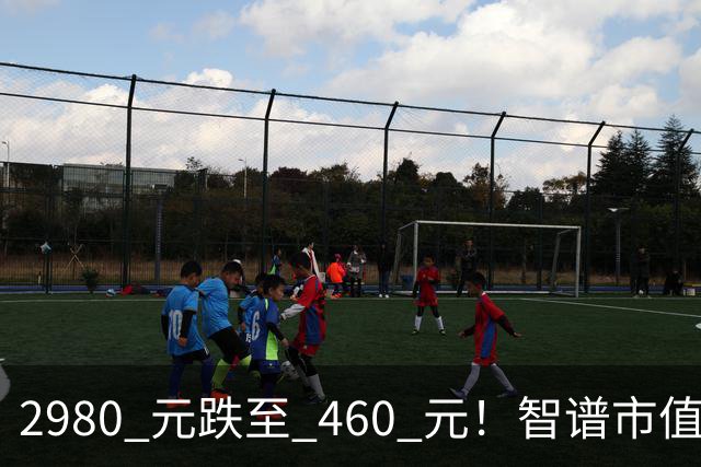 2980 元跌至 460 元！智谱市值缩水超万亿