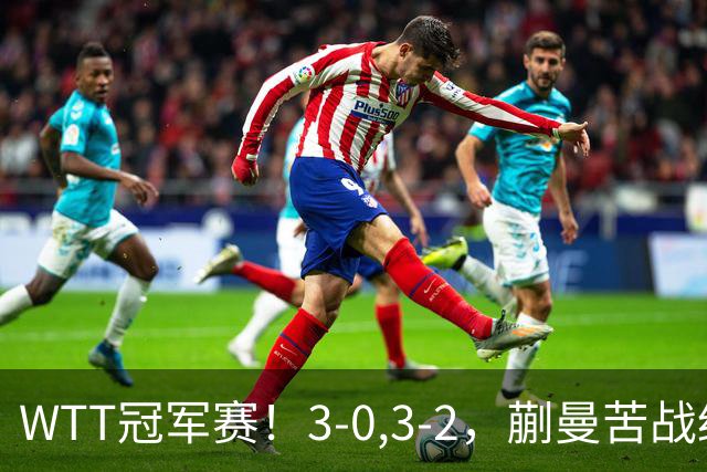 WTT冠军赛！3-0,3-2，蒯曼苦战绝杀，王曼昱有些惊险，国乒5连胜
